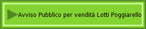 Avviso Pubblico per vendit Lotti Poggiarello
